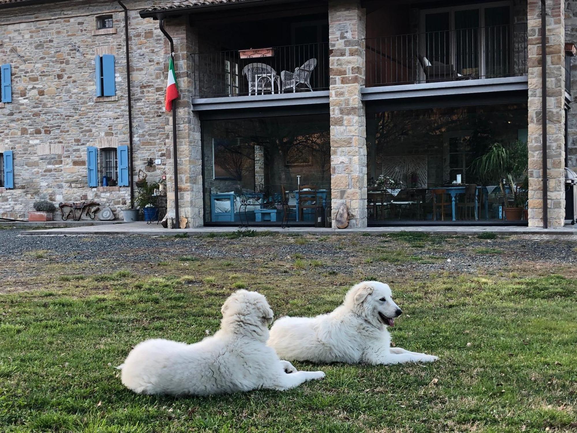 La Locanda Nel Vento Calestano Eksteriør billede